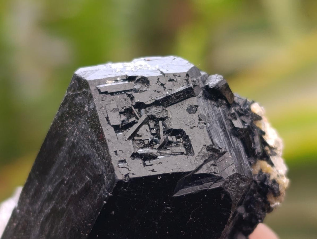 Natural Schorl Black Tourmaline Specimens x 12 From Erongo, Namibia