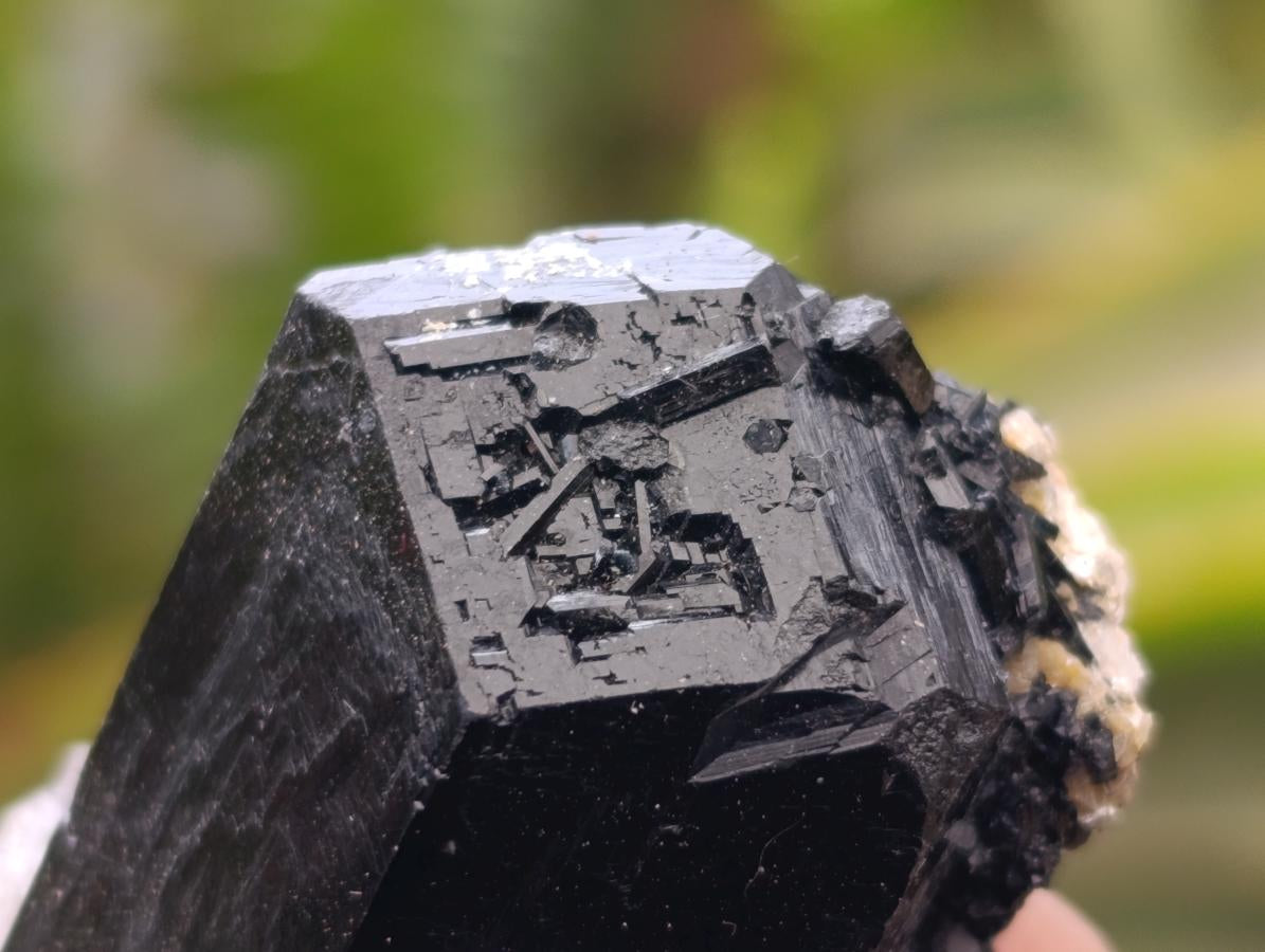 Natural Schorl Black Tourmaline Specimens x 12 From Erongo, Namibia