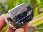 Natural Schorl Black Tourmaline Specimens x 12 From Erongo, Namibia