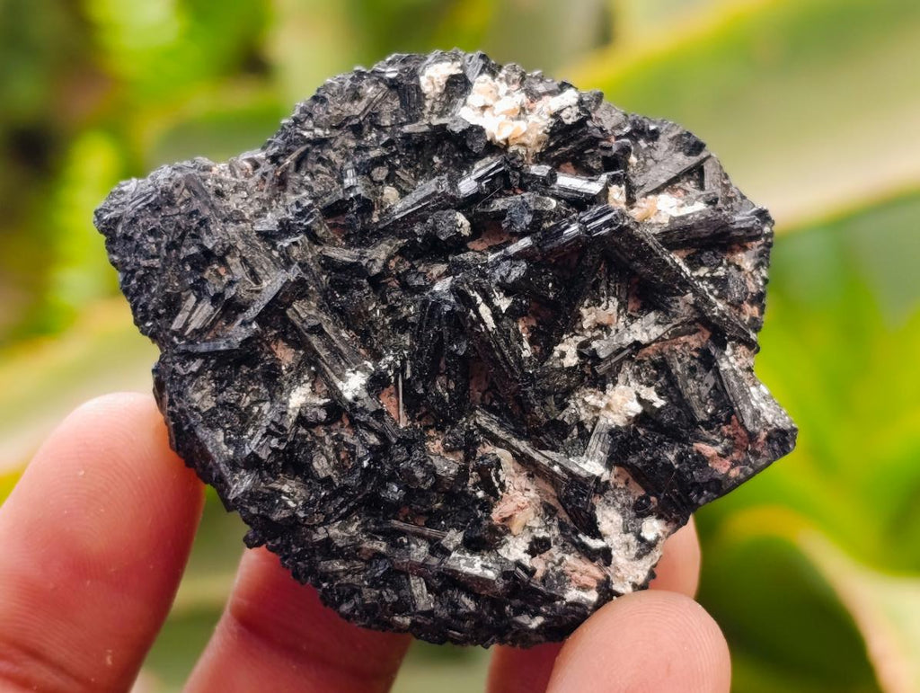 Natural Schorl Black Tourmaline Specimens x 12 From Erongo, Namibia