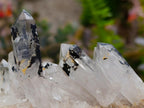Natural Clear Quartz Crystal Clusters x 7 From Madagascar