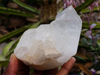 Natural Clear Quartz Crystal Clusters x 7 From Madagascar
