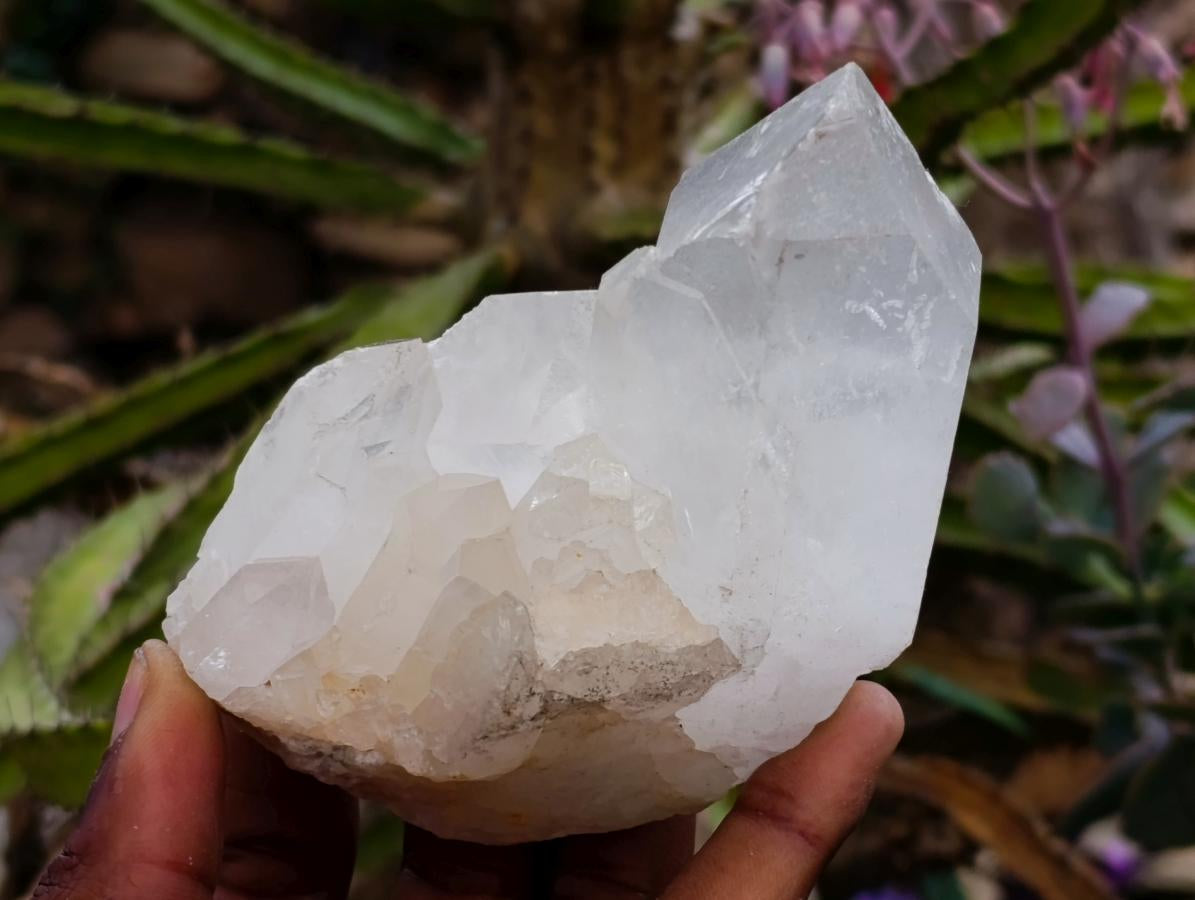 Natural Clear Quartz Crystal Clusters x 7 From Madagascar