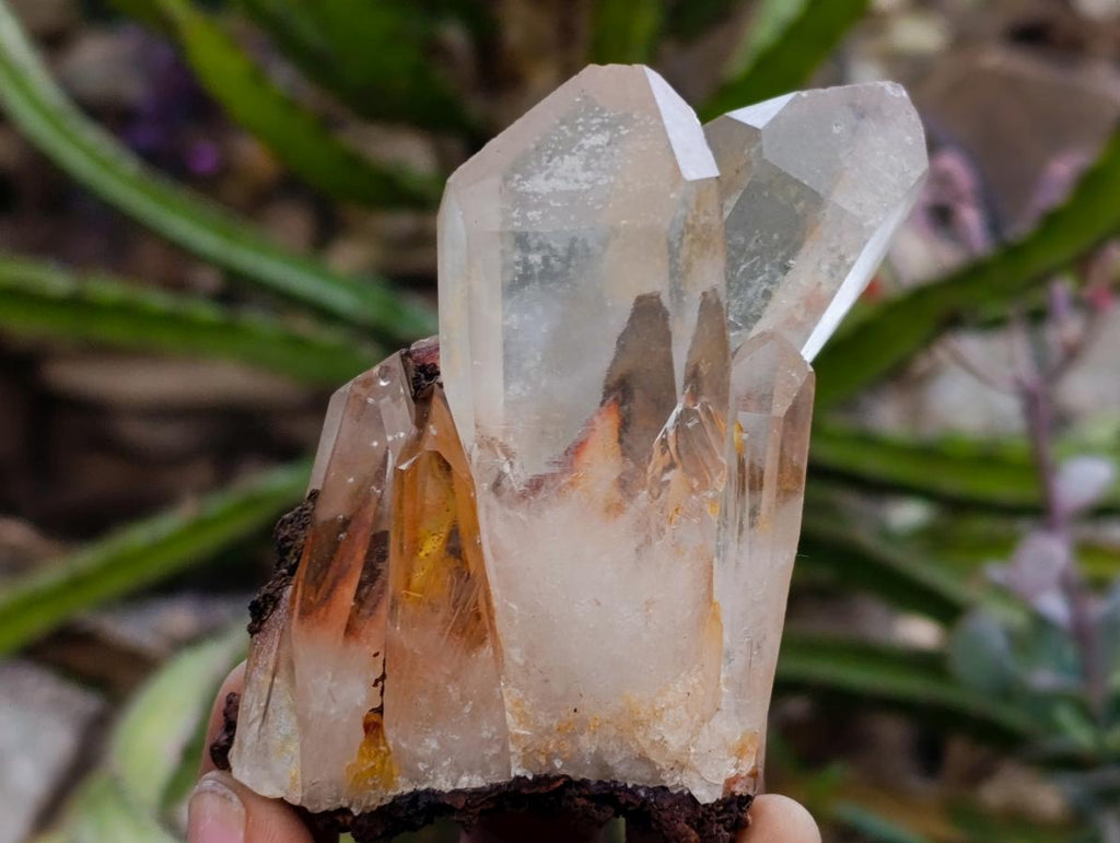 Natural Clear Quartz Crystal Clusters x 7 From Madagascar