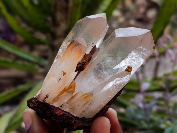 Natural Clear Quartz Crystal Clusters x 7 From Madagascar