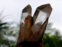 Natural Clear Quartz Crystal Clusters x 7 From Madagascar