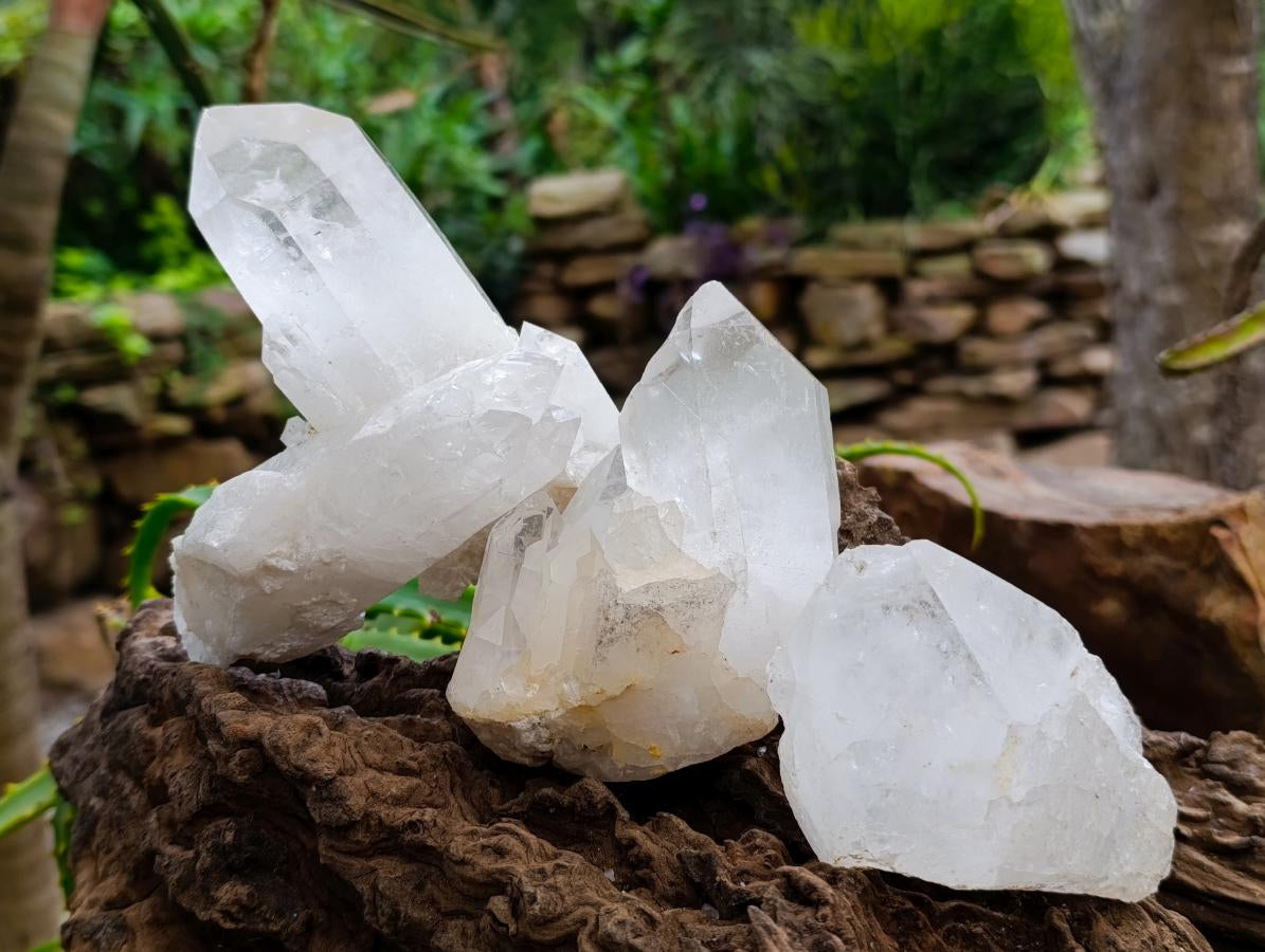 Natural Clear Quartz Crystal Clusters x 7 From Madagascar