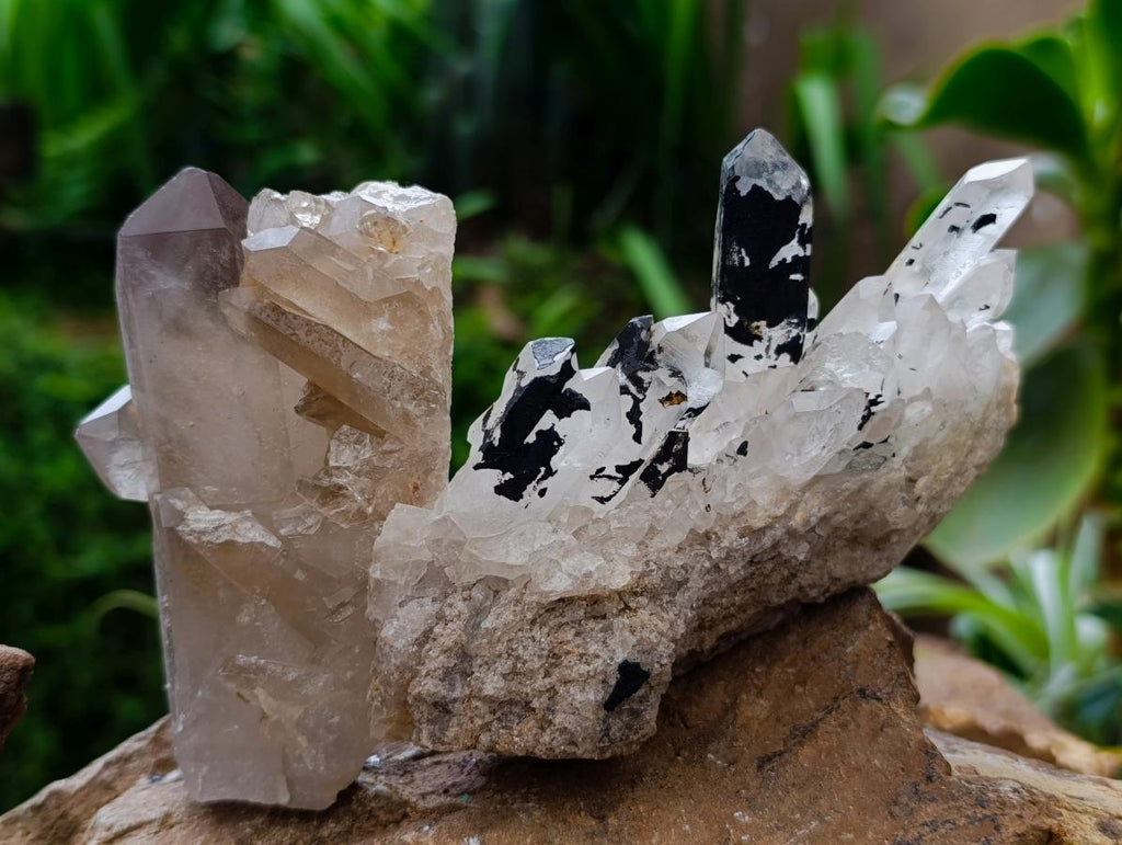 Natural Clear Quartz Crystal Clusters x 7 From Madagascar