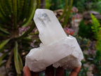 Natural Clear Quartz Crystal Clusters x 7 From Madagascar