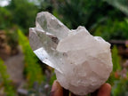 Natural Clear Quartz Crystal Clusters x 7 From Madagascar