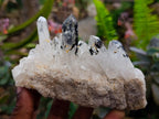 Natural Clear Quartz Crystal Clusters x 7 From Madagascar