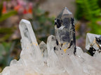 Natural Clear Quartz Crystal Clusters x 7 From Madagascar