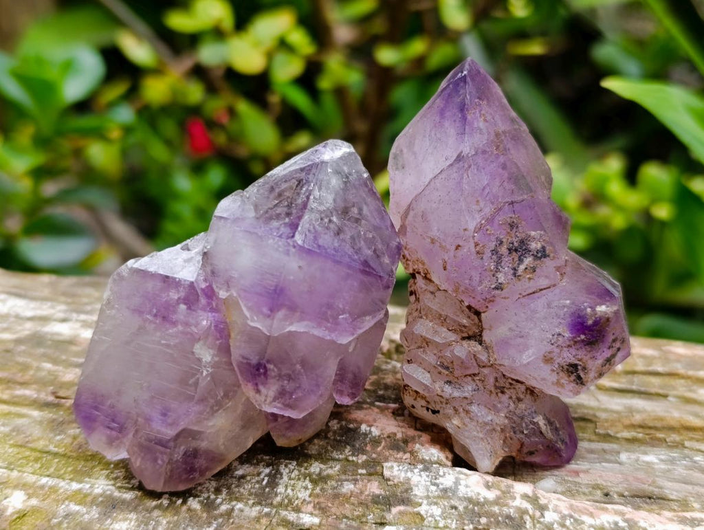 Natural Window Amethyst Crystals x 6 From Chiredzi, Zimbabwe