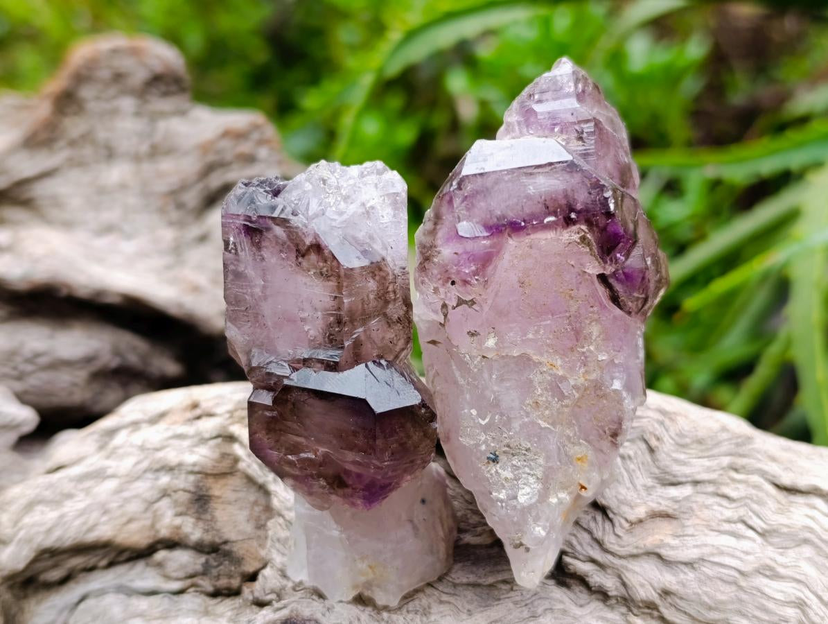 Natural Window Amethyst Crystals x 6 From Chiredzi, Zimbabwe