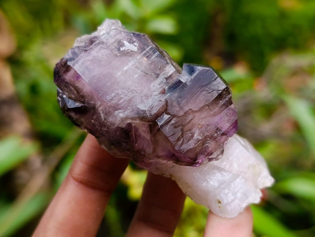 Natural Window Amethyst Crystals x 6 From Chiredzi, Zimbabwe