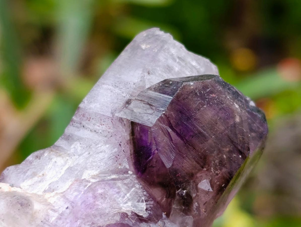 Natural Window Amethyst Crystals x 6 From Chiredzi, Zimbabwe
