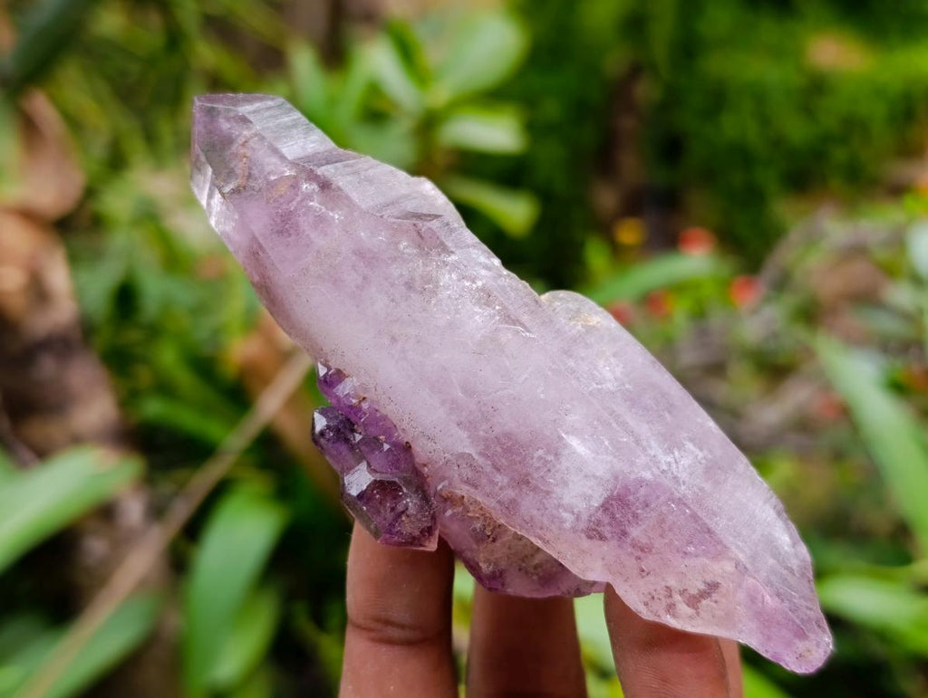 Natural Window Amethyst Crystals x 6 From Chiredzi, Zimbabwe