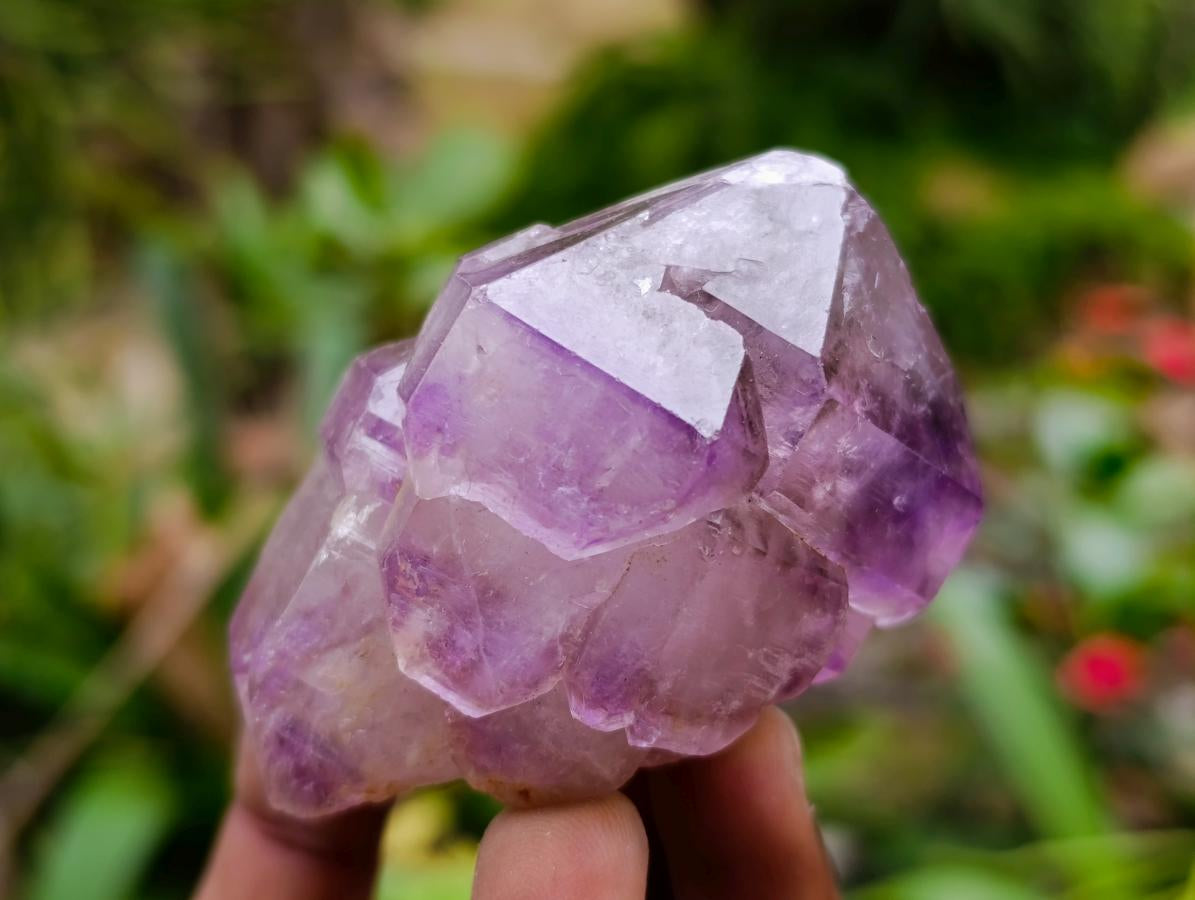 Natural Window Amethyst Crystals x 6 From Chiredzi, Zimbabwe