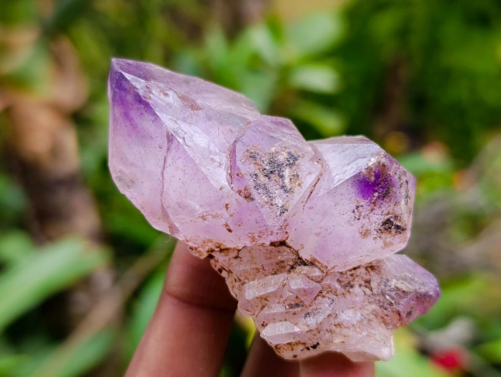 Natural Window Amethyst Crystals x 6 From Chiredzi, Zimbabwe