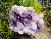 Natural XL Jacaranda Amethyst Quartz Geode x 1 From Mumbwa, Zambia