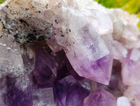 Natural XL Jacaranda Amethyst Quartz Geode x 1 From Mumbwa, Zambia