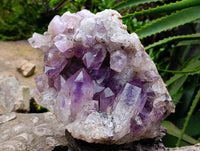 Natural XL Jacaranda Amethyst Quartz Geode x 1 From Mumbwa, Zambia