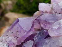 Natural XL Jacaranda Amethyst Quartz Geode x 1 From Mumbwa, Zambia
