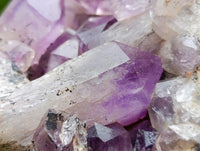 Natural XL Jacaranda Amethyst Quartz Geode x 1 From Mumbwa, Zambia