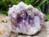 Natural XL Jacaranda Amethyst Quartz Geode x 1 From Mumbwa, Zambia