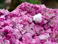 Natural Salrose Cobaltion Dolomite Specimen x 1 From Kakanda, Congo