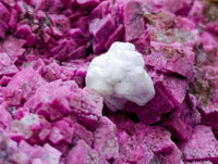 Natural Salrose Cobaltion Dolomite Specimen x 1 From Kakanda, Congo