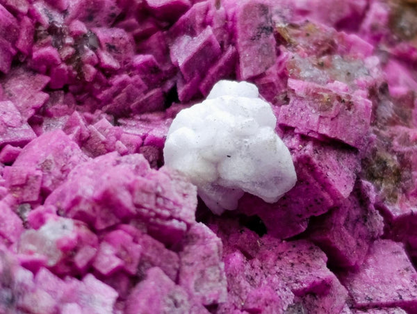 Natural Salrose Cobaltion Dolomite Specimen x 1 From Kakanda, Congo