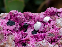 Natural Salrose Cobaltion Dolomite Specimen x 1 From Kakanda, Congo