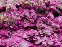 Natural Salrose Cobaltion Dolomite Specimen x 1 From Kakanda, Congo