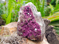 Natural Salrose Cobaltion Dolomite Specimen x 1 From Kakanda, Congo