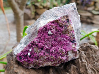 Natural Salrose Cobaltion Dolomite Specimen x 1 From Kakanda, Congo