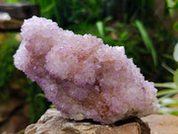 Natural Sunburst Amethyst Spirit Clusters x 3 From Boekenhouthoek, South Africa