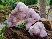 Natural Sunburst Amethyst Spirit Clusters x 3 From Boekenhouthoek, South Africa
