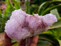 Natural Sunburst Amethyst Spirit Clusters x 3 From Boekenhouthoek, South Africa