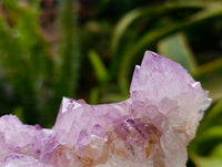 Natural Sunburst Amethyst Spirit Clusters x 3 From Boekenhouthoek, South Africa