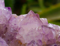 Natural Sunburst Amethyst Spirit Clusters x 3 From Boekenhouthoek, South Africa