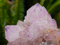 Natural Sunburst Amethyst Spirit Clusters x 3 From Boekenhouthoek, South Africa