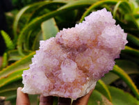 Natural Sunburst Amethyst Spirit Clusters x 3 From Boekenhouthoek, South Africa