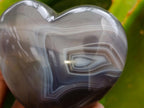 Polished Banded Agate Hearts x 6 From Madagascar