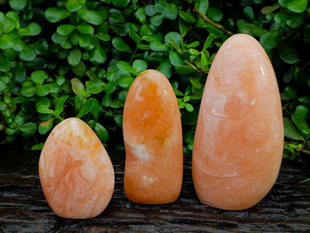 Polished Orange Twist Calcite Standing Free Forms x 3 From Maevantanana, Madagascar