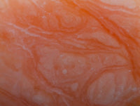 Polished Orange Twist Calcite Standing Free Forms x 3 From Maevantanana, Madagascar
