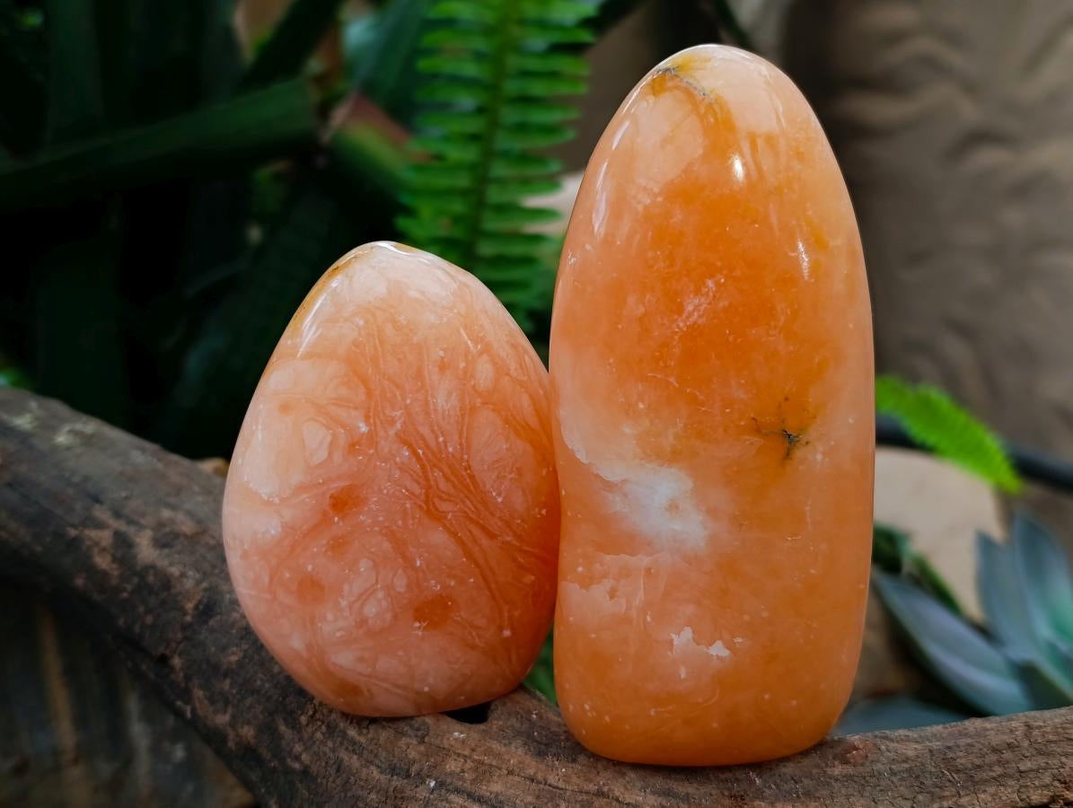 Polished Orange Twist Calcite Standing Free Forms x 3 From Maevantanana, Madagascar