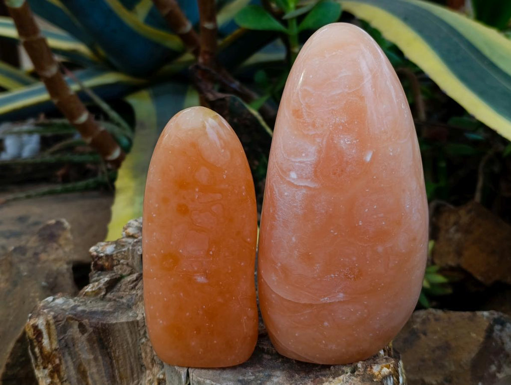 Polished Orange Twist Calcite Standing Free Forms x 3 From Maevantanana, Madagascar
