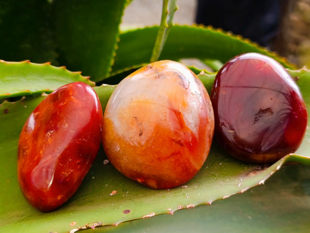 Polished Carnelian Agate Gemstone Galets x 12 From Madagascar