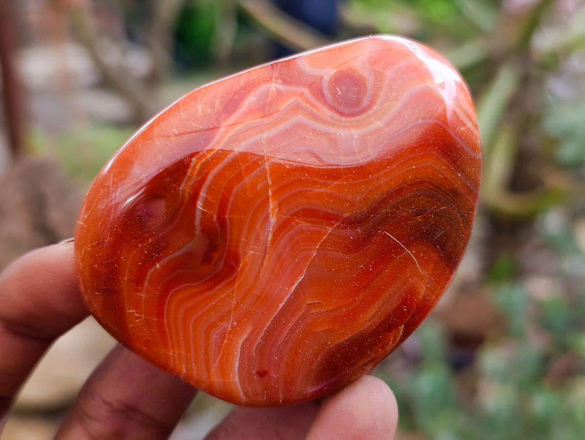 Polished Carnelian Agate Gemstone Galets x 12 From Madagascar